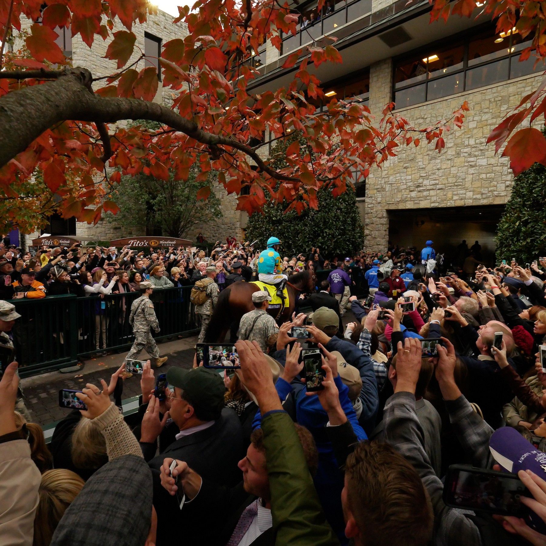 Crowd lining the walking ring as a horse is led through